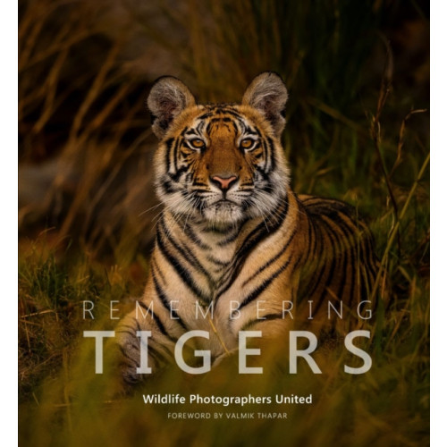 Remembering Wildlife Remembering Tigers (inbunden, eng)