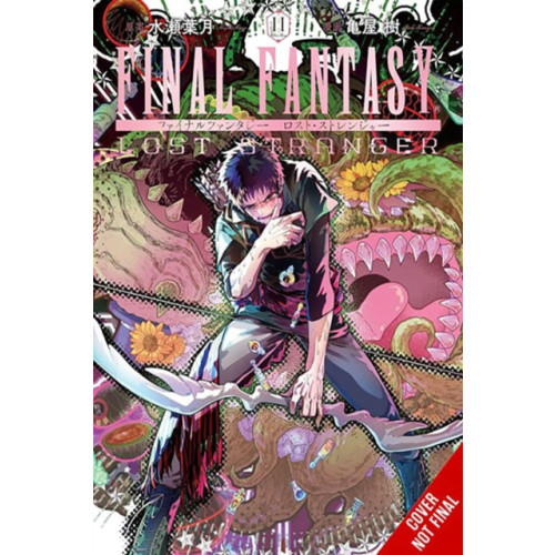 Little, Brown & Company Final Fantasy Lost Stranger, Vol. 11 (häftad, eng)