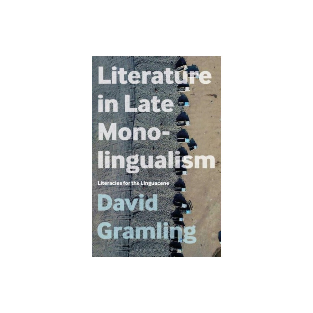 Produktbild för Literature in Late Monolingualism (häftad, eng)