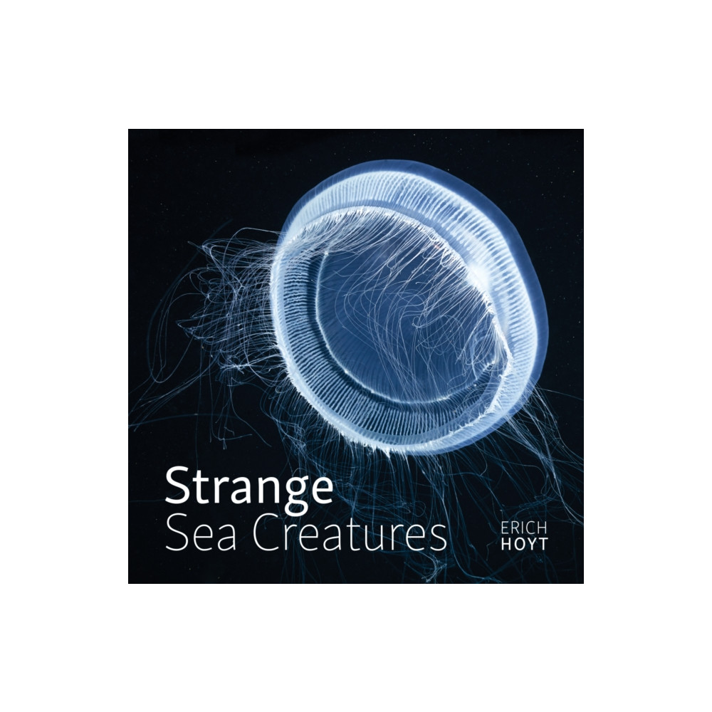 Produktbild för Strange Sea Creatures (häftad, eng)