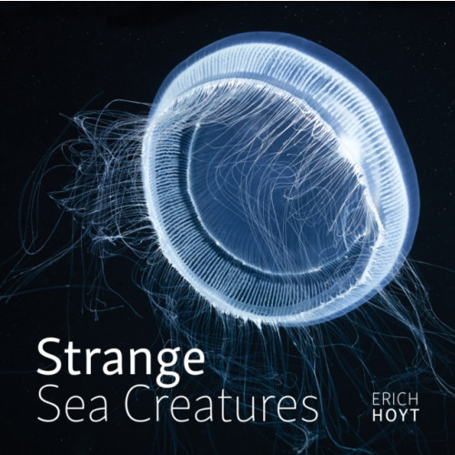 Firefly Books Ltd Strange Sea Creatures (häftad, eng)