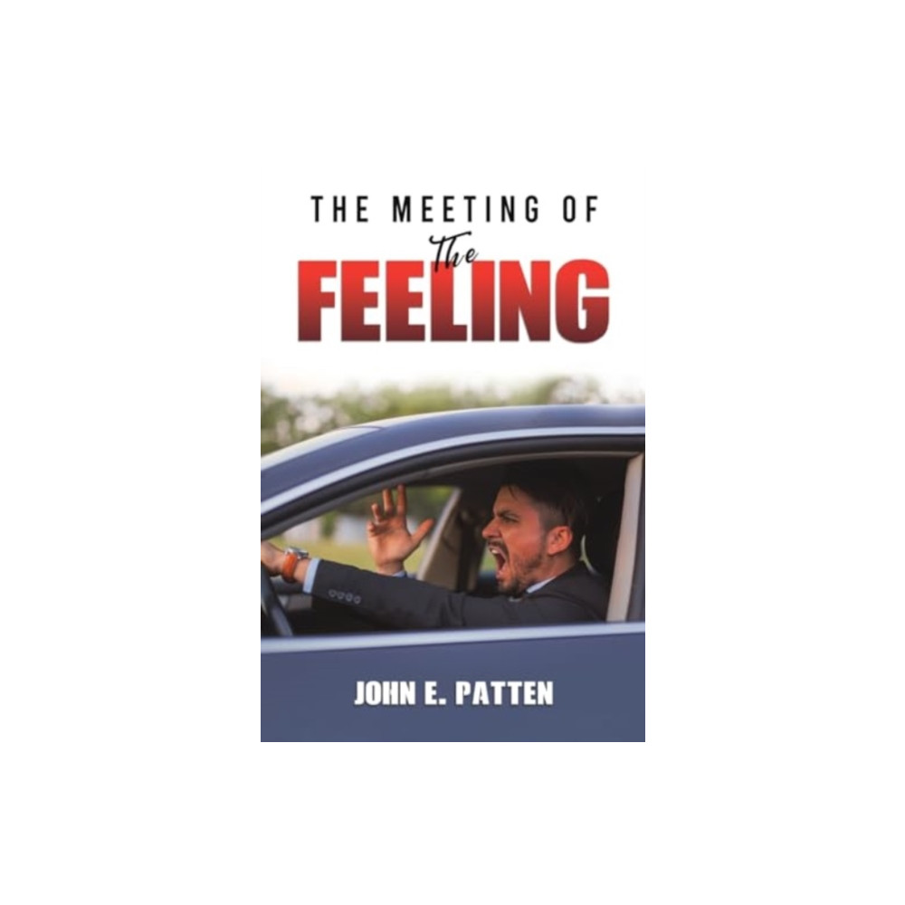 Produktbild för The Meeting of the Feeling (häftad, eng)