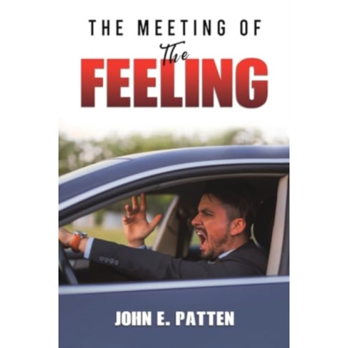 Austin Macauley Publishers The Meeting of the Feeling (häftad, eng)