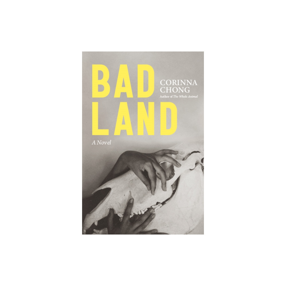 Produktbild för Bad Land (häftad, eng)