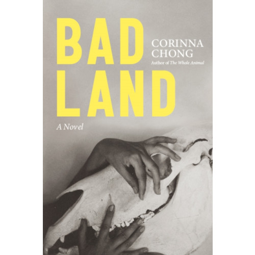 Arsenal Pulp Press Bad Land (häftad, eng)