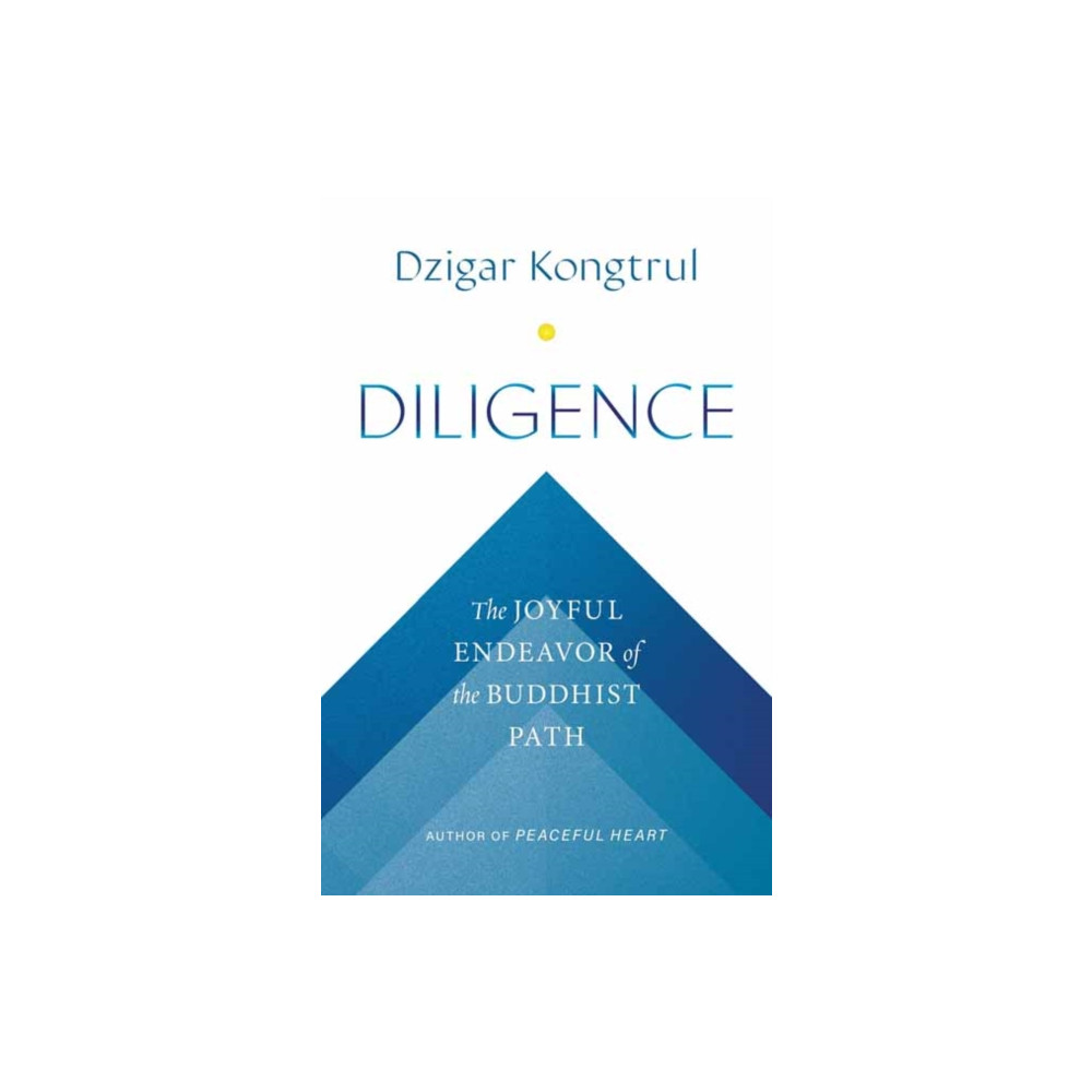 Produktbild för Diligence (häftad, eng)