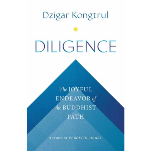 Shambhala Publications Inc Diligence (häftad, eng)