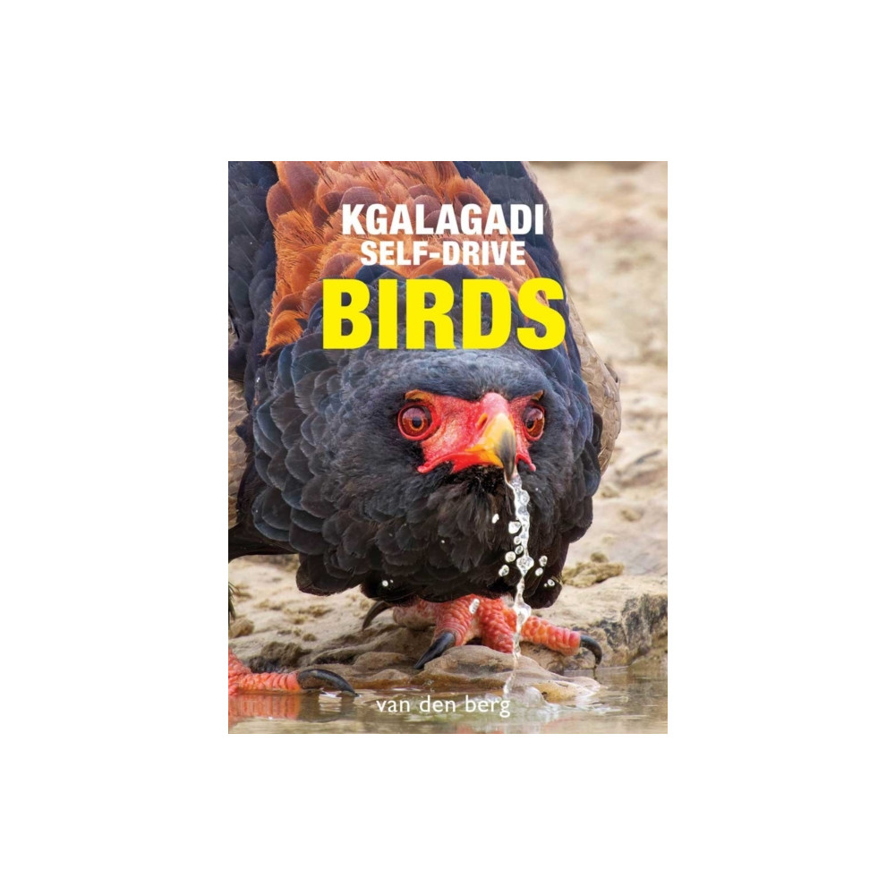 Produktbild för Kgalagadi Self-Drive Birds (häftad, eng)
