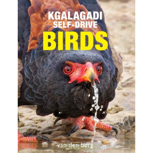HPH Publishing Kgalagadi Self-Drive Birds (häftad, eng)