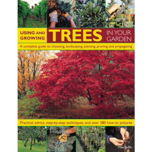 Anness publishing Using and Growing Trees in Your Garden (häftad, eng)