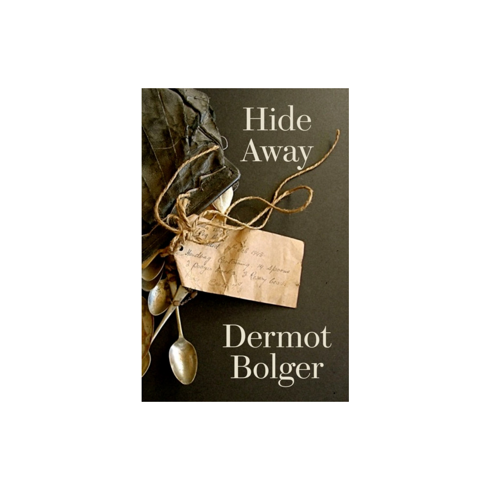 Produktbild för Hide Away (häftad, eng)
