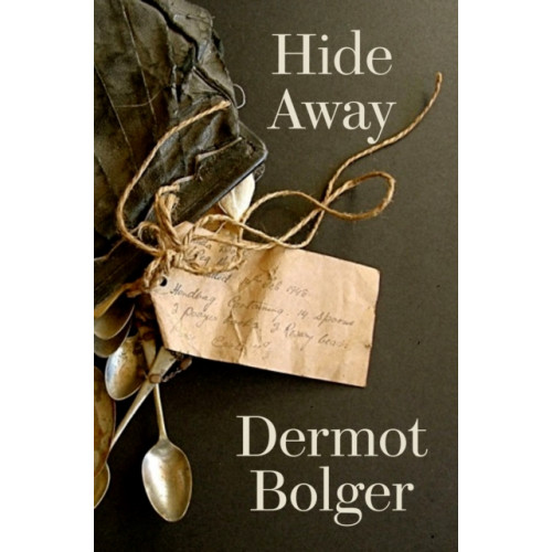 New Island Books Hide Away (häftad, eng)