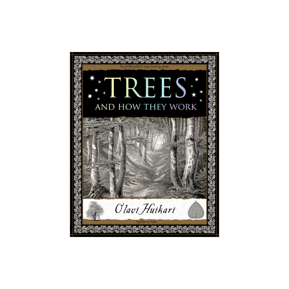 Produktbild för Trees (häftad, eng)