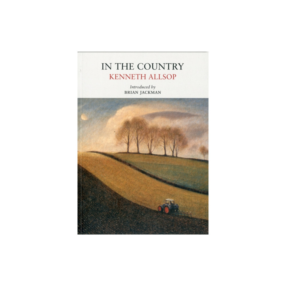 Produktbild för In the Country (häftad, eng)