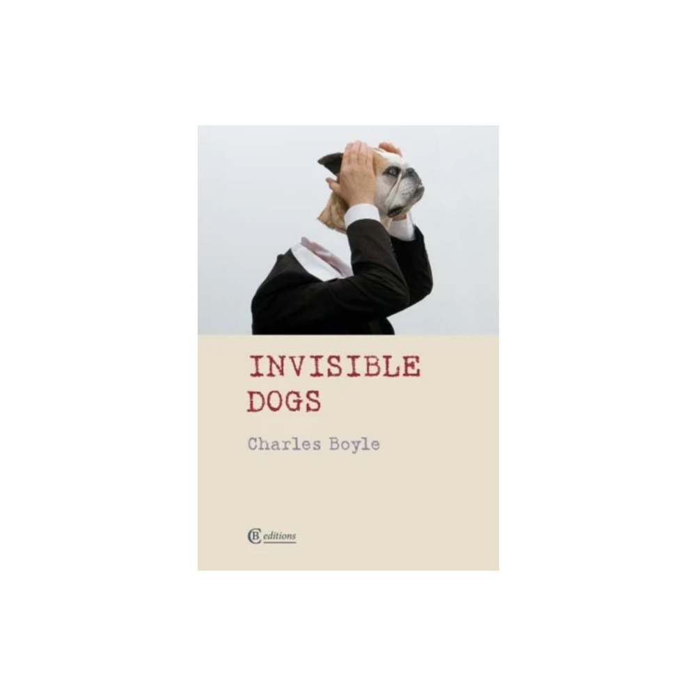 Produktbild för Invisible Dogs (häftad, eng)