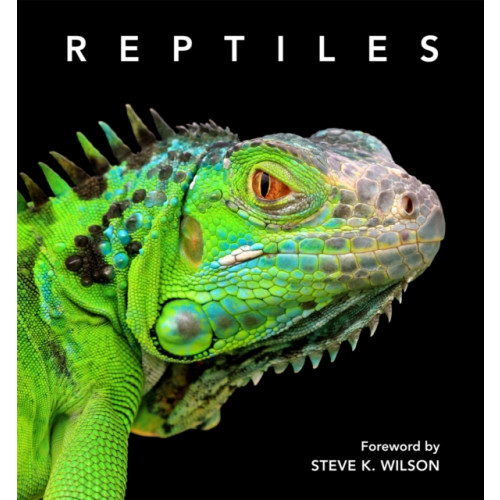 New Holland Publishers Reptiles (inbunden, eng)