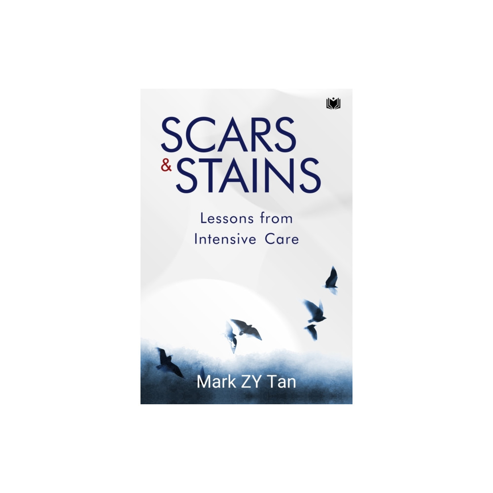 Produktbild för Scars & Stains (häftad, eng)