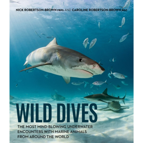 New Holland Publishers Wild Dives (inbunden, eng)