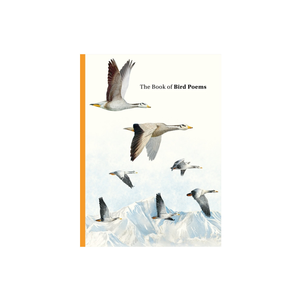 Produktbild för The Book of Bird Poems (inbunden, eng)