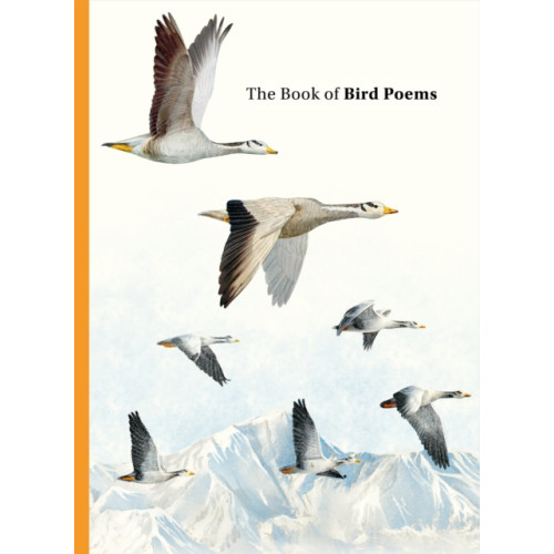 Orion Publishing Co The Book of Bird Poems (inbunden, eng)