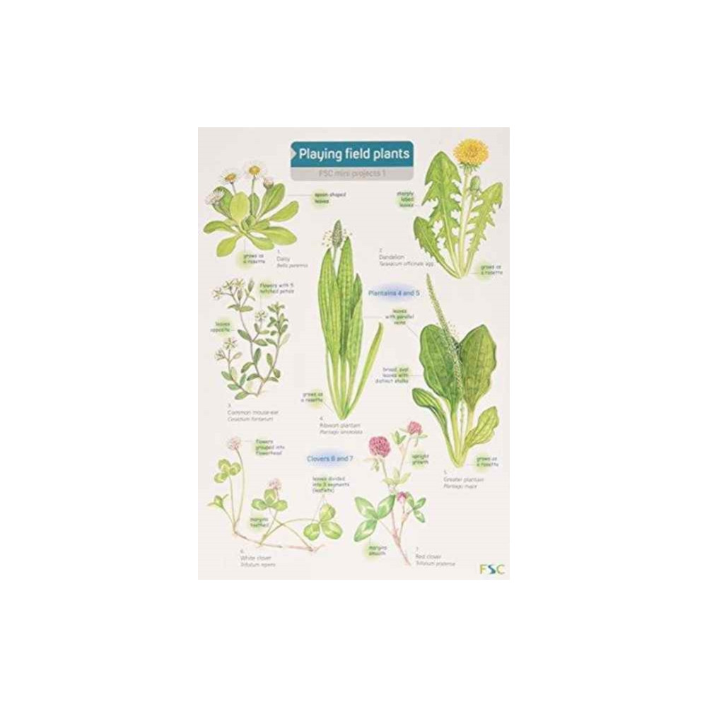 Produktbild för Playing Field Plants (bok, eng)