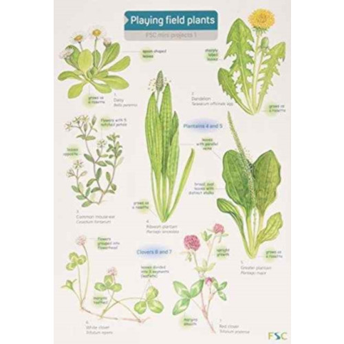 Field Studies Council Playing Field Plants (bok, eng)