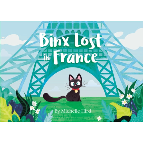 Andrews UK Limited Binx Lost in France (häftad, eng)