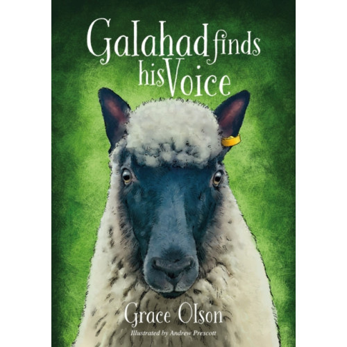 Brown Dog Books Galahad finds his Voice (häftad, eng)