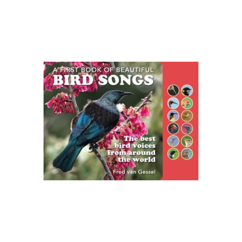 Produktbild för A First Book of Beautiful Bird Songs (bok, board book, eng)