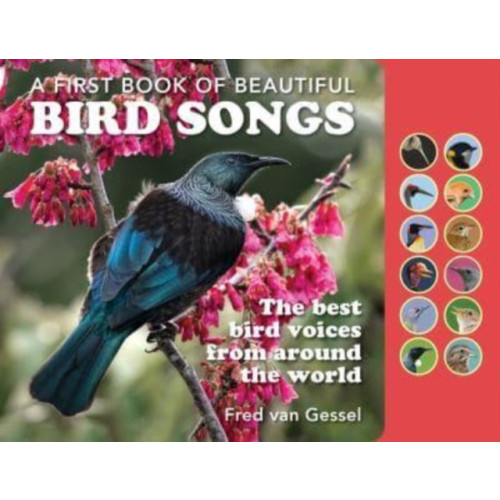 New Holland Publishers A First Book of Beautiful Bird Songs (bok, board book, eng)