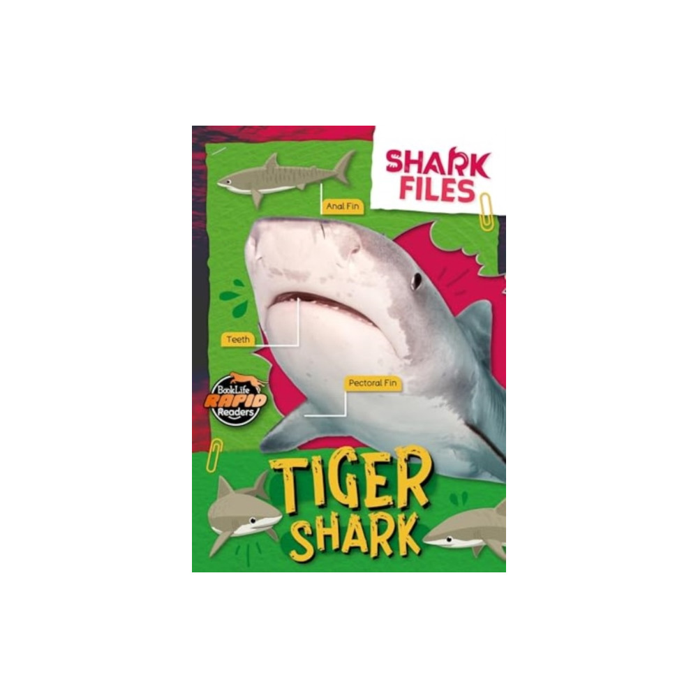 Produktbild för Tiger Shark (häftad, eng)