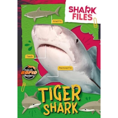 BookLife Publishing Tiger Shark (häftad, eng)