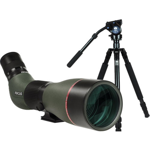FOCUS OPTICS Kit Focus Optimum 20-60x85 ED with Sirui R2004+VH10