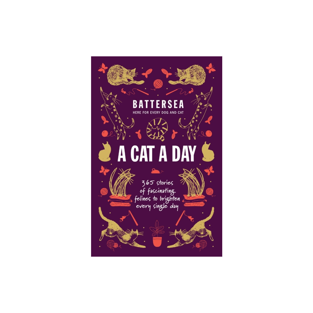 Produktbild för Battersea Dogs and Cats Home - A Cat a Day (häftad, eng)