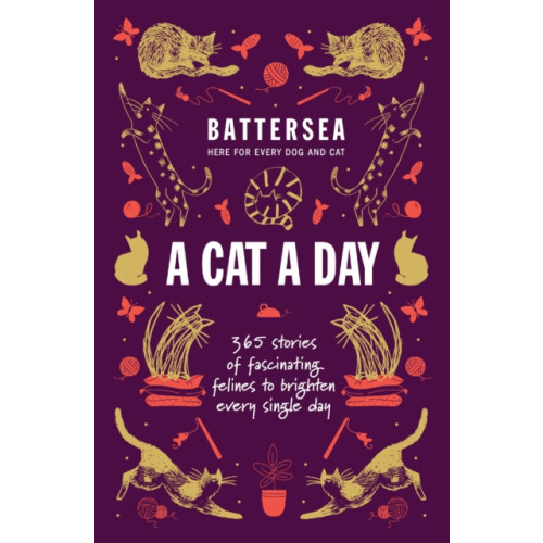 Headline Publishing Group Battersea Dogs and Cats Home - A Cat a Day (häftad, eng)