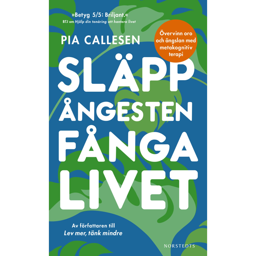 Produktbild för Släpp ångesten, fånga livet : övervinn oro och ängslan med metakognitiv terapi (pocket)