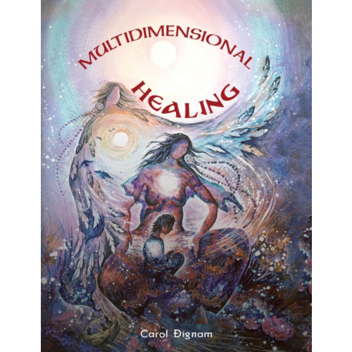Austin Macauley Publishers LLC Multidimensional Healing (häftad, eng)