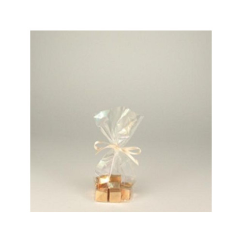 PAPSTAR Cellofanpåse PP 16x9,5x4cm 10/fp