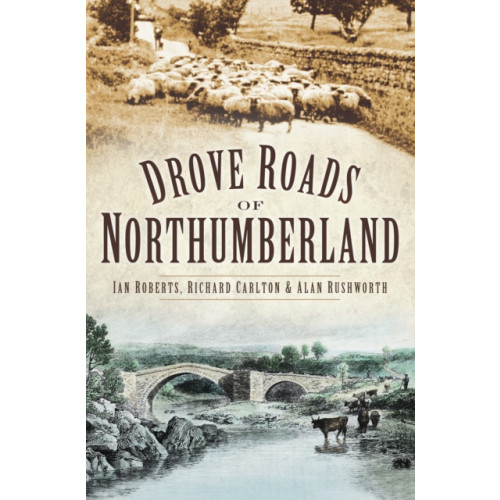 Drove Roads of Northumberland (häftad, eng)