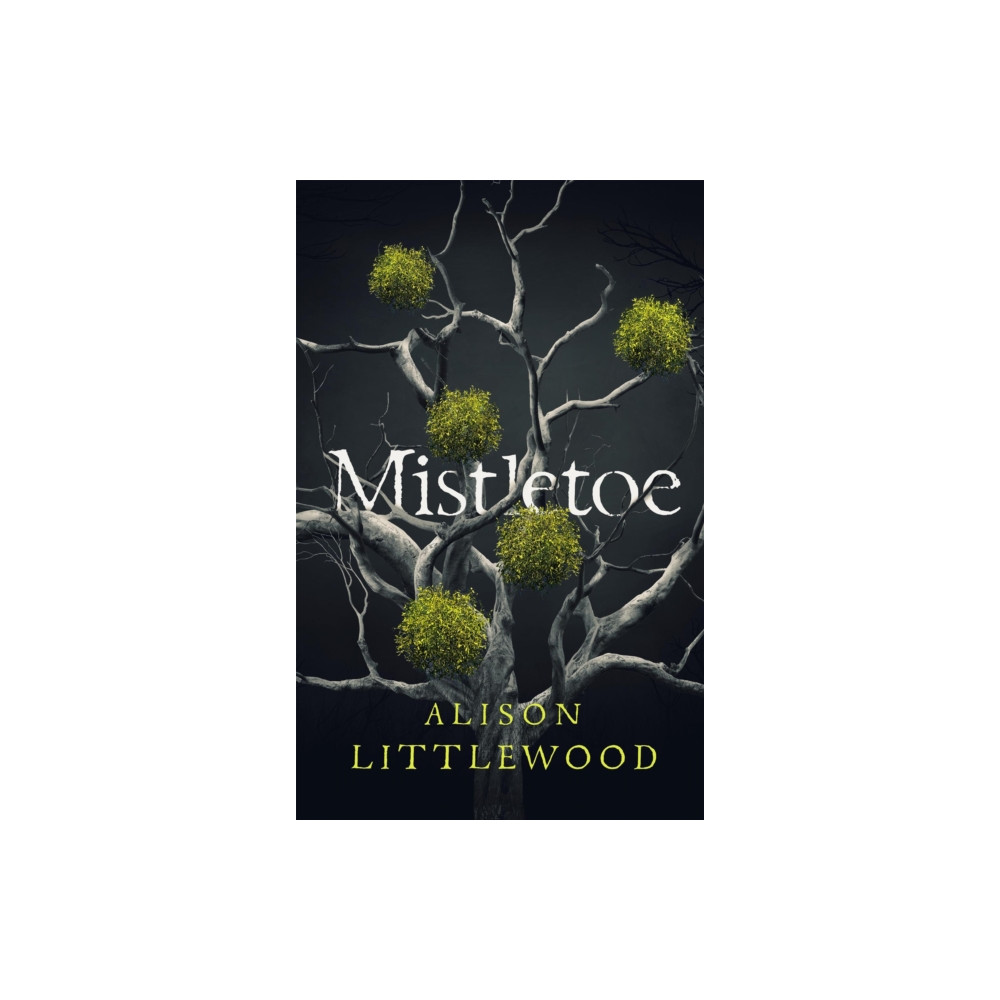 Produktbild för Mistletoe (häftad, eng)