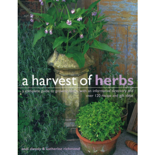Anness publishing Harvest of Herbs (häftad, eng)