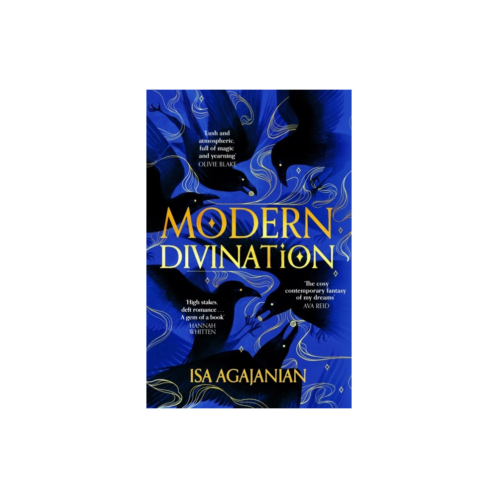 Produktbild för Modern Divination (häftad, eng)