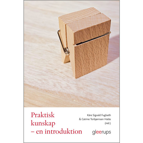 Gleerups Utbildning AB Praktisk kunskap : en introduktion (häftad)