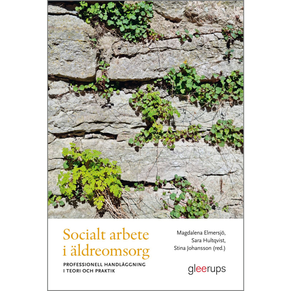 Produktbild för Socialt arbete i äldreomsorg : professionell handläggning i teori och praktik (häftad)