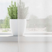 Produktbild för Voile gardiner med öglor 2 st vit 140x140 cm