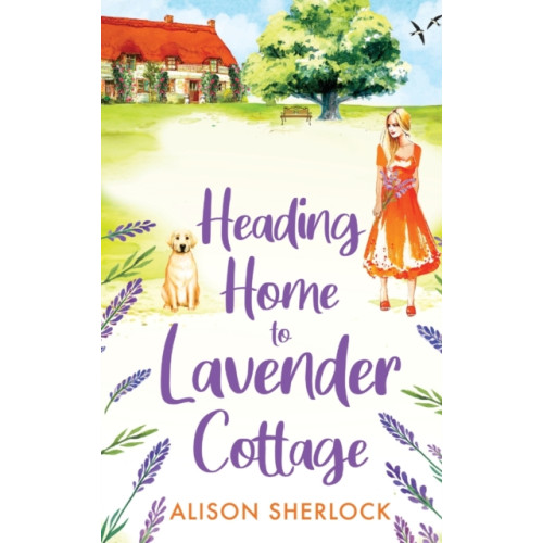 Boldwood Books Ltd Heading Home to Lavender Cottage (inbunden, eng)