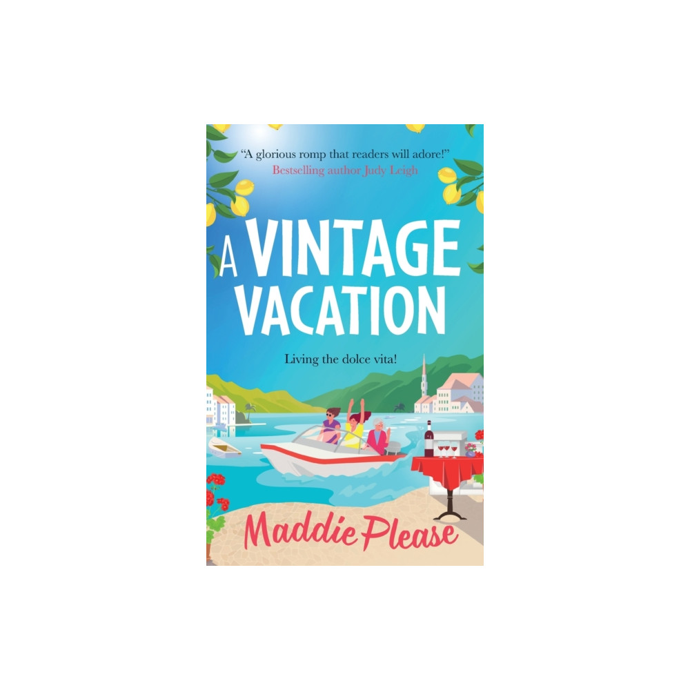 Produktbild för A Vintage Vacation (inbunden, eng)