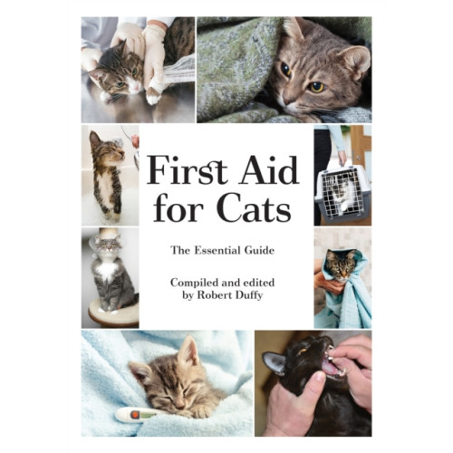 BX Plans Ltd First Aid For Cats (häftad, eng)
