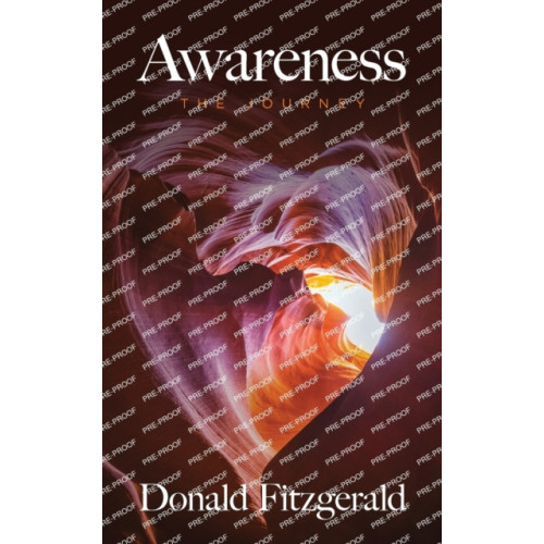 Palmetto Publishing Awareness (häftad, eng)