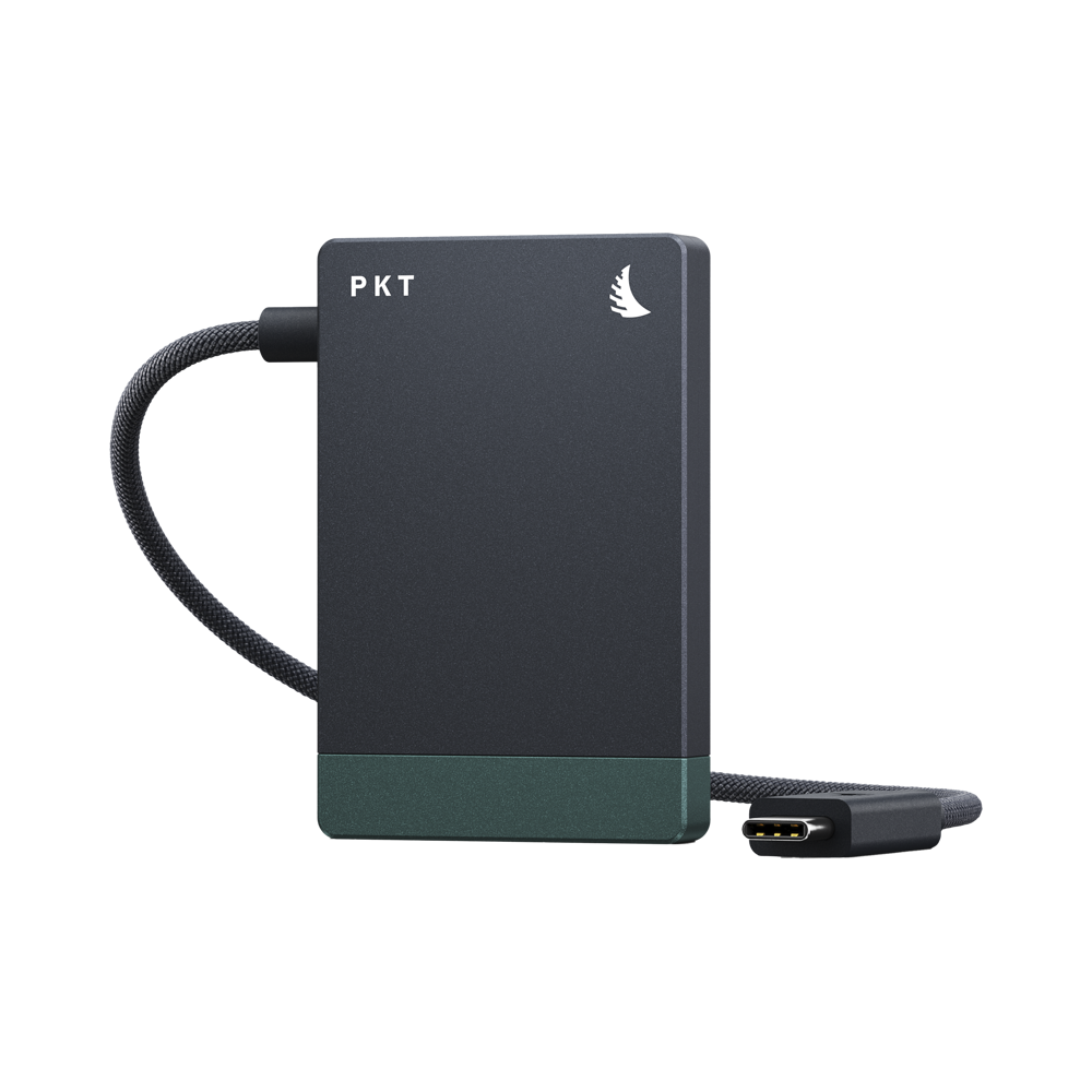Produktbild för Angelbird Cardreader PKT I SD 4.0/SDXC I UHS-I/UHS-II I USB 4.0 I USB-C 3.2 Gen 1, up to 5 Gb/s conn